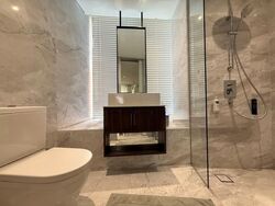 St. Regis Residences (D10), Apartment #580452101